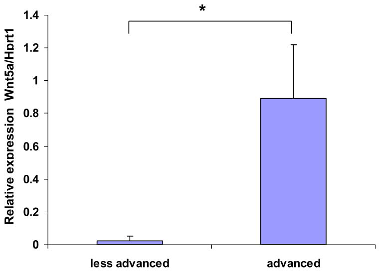 Increased Wnt5a mRNA Expression in Advanced Atherosclerotic Lesions, and Oxidized LDL Treated Human Monocyte-Derived Macrophages.