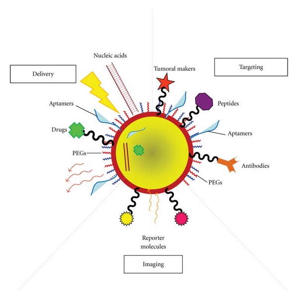 Noble metal nanoparticles applications in cancer.