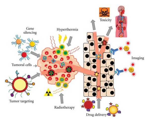 Noble metal nanoparticles applications in cancer.