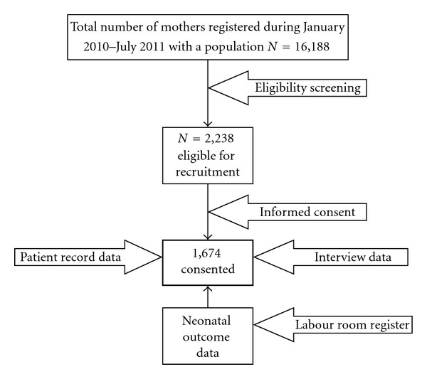 Pattern of Maternal Complications and Low Birth Weight: Associated Risk Factors among Highly Endogamous Women.