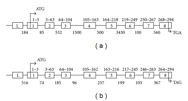 A cotton-fiber-associated cyclin-dependent kinase a gene: characterization and chromosomal location.