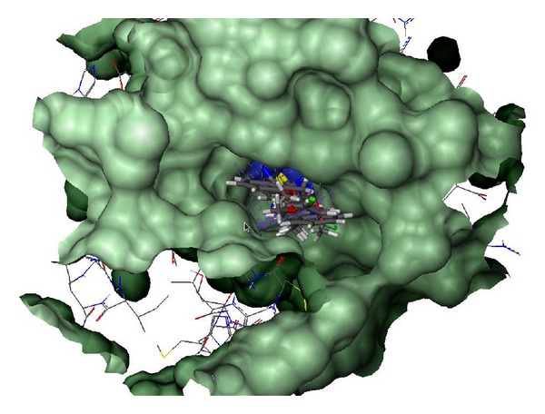 Synthesis, urease inhibition, antioxidant, antibacterial, and molecular docking studies of 1,3,4-oxadiazole derivatives.