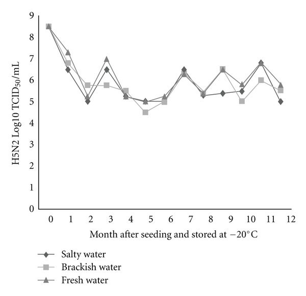 Persistence of avian influenza viruses in various artificially frozen environmental water types.