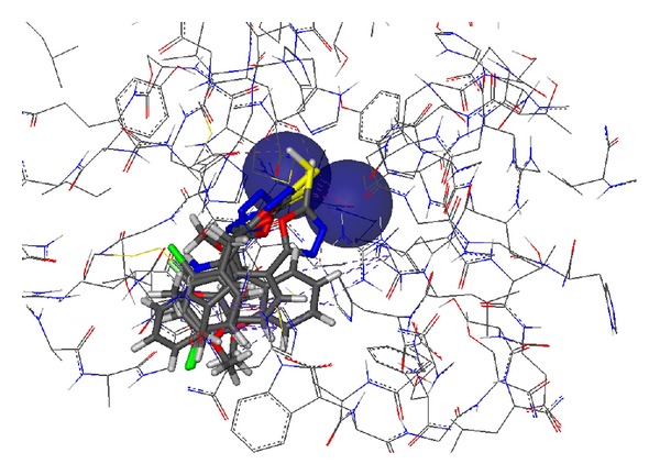 Synthesis, urease inhibition, antioxidant, antibacterial, and molecular docking studies of 1,3,4-oxadiazole derivatives.