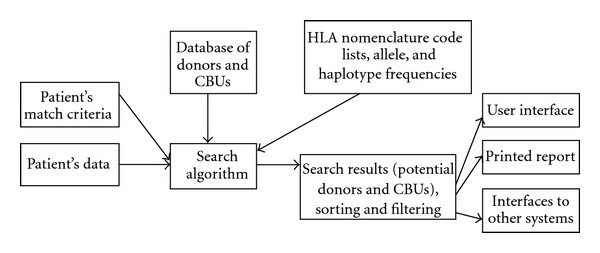 Computer algorithms in the search for unrelated stem cell donors.