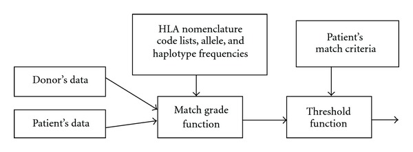 Computer algorithms in the search for unrelated stem cell donors.