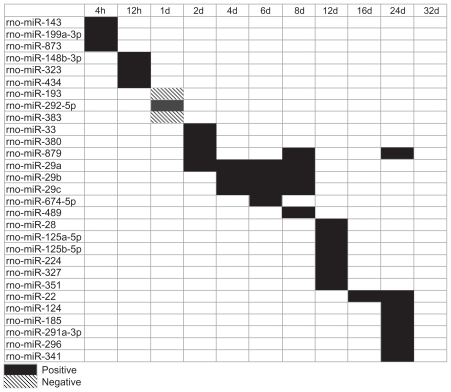 Regulatory mechanisms in bone following mechanical loading.