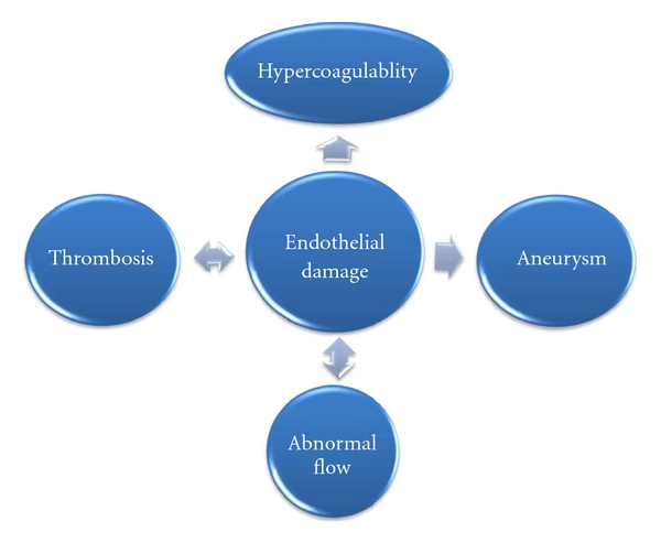 Behcet's Disease: New Concepts in Cardiovascular Involvements and Future Direction for Treatment.