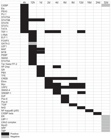 Regulatory mechanisms in bone following mechanical loading.