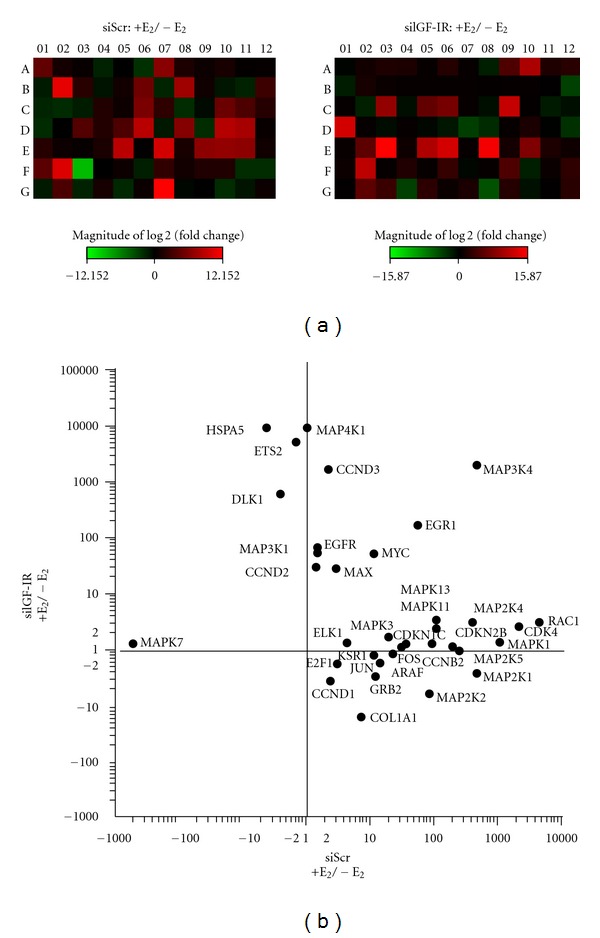 Estrogen Regulates MAPK-Related Genes through Genomic and Nongenomic Interactions between IGF-I Receptor Tyrosine Kinase and Estrogen Receptor-Alpha Signaling Pathways in Human Uterine Leiomyoma Cells.