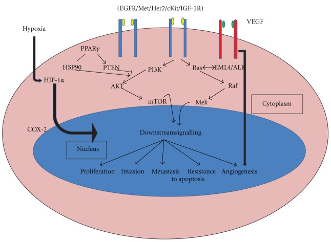 Molecular Markers with Predictive and Prognostic Relevance in Lung Cancer.