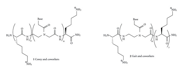 Recent advances in chemical modification of Peptide nucleic acids.