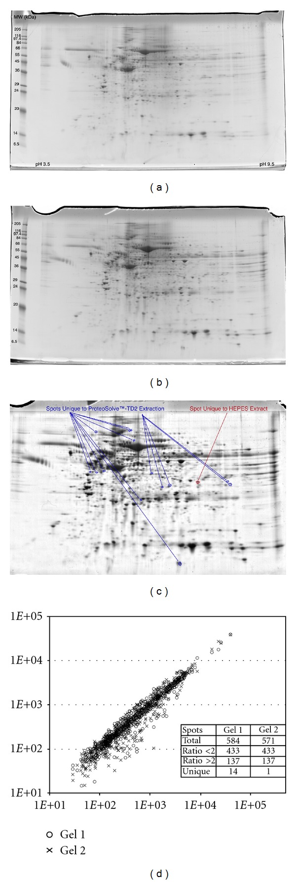 Method for recovery and immunoaffinity enrichment of membrane proteins illustrated with metastatic ovarian cancer tissues.