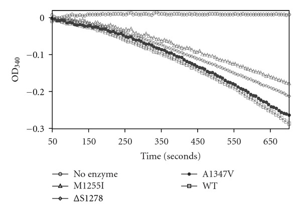 Effects of somatic mutations in the C-terminus of insulin-like growth factor 1 receptor on activity and signaling.