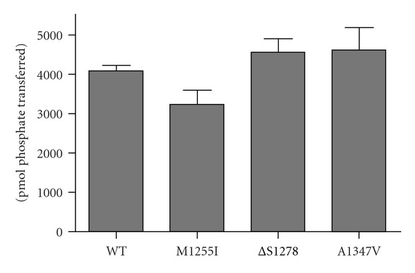 Effects of somatic mutations in the C-terminus of insulin-like growth factor 1 receptor on activity and signaling.
