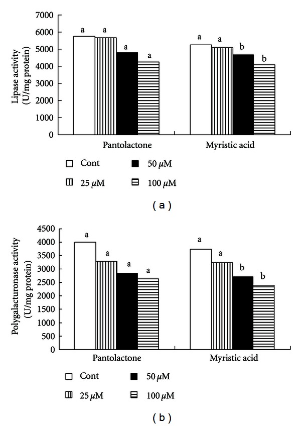 Production of Quorum Sensing Inhibitors in Growing Onion Bulbs Infected with Pseudomonas aeruginosa E (HQ324110).