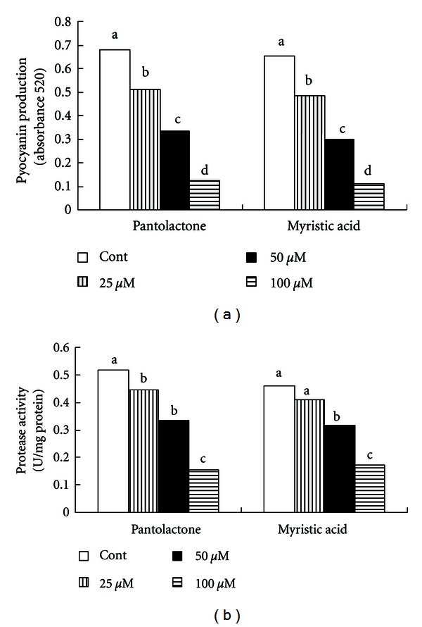 Production of Quorum Sensing Inhibitors in Growing Onion Bulbs Infected with Pseudomonas aeruginosa E (HQ324110).