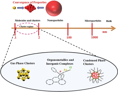 Protein-protected luminescent noble metal quantum clusters: an emerging trend in atomic cluster nanoscience.