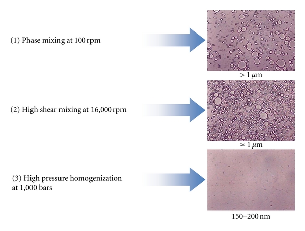 Successfully improving ocular drug delivery using the cationic nanoemulsion, novasorb.