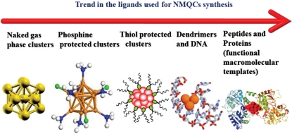 Protein-protected luminescent noble metal quantum clusters: an emerging trend in atomic cluster nanoscience.