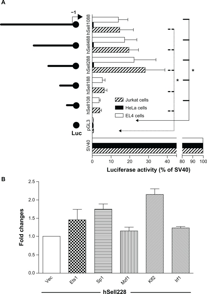 FOXO1 Up-Regulates Human L-selectin Expression Through Binding to a Consensus FOXO1 Motif.