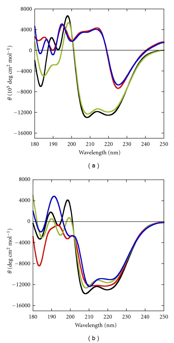 Structural and Functional Characterization of RecG Helicase under Dilute and Molecular Crowding Conditions.