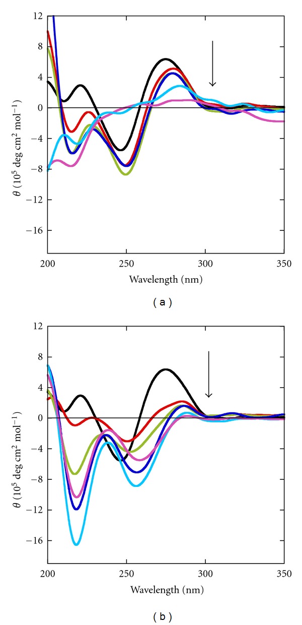 Structural and Functional Characterization of RecG Helicase under Dilute and Molecular Crowding Conditions.