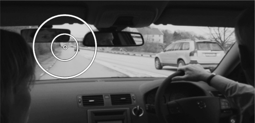 Is it reliable to assess visual attention of drivers affected by Parkinson's disease from the backseat?-a simulator study.