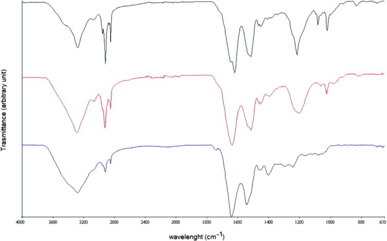 Regenerated keratin membrane to match the in vitro drug diffusion through human epidermis