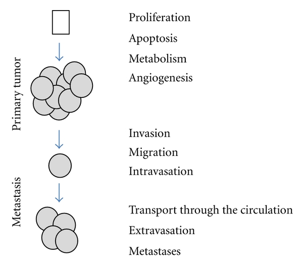 Splicing programs and cancer.