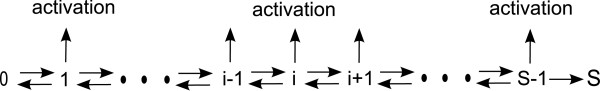 Using default constraints of the spindle assembly checkpoint to estimate the associated chemical rates.