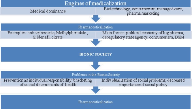 Medicalization: current concept and future directions in a bionic society.