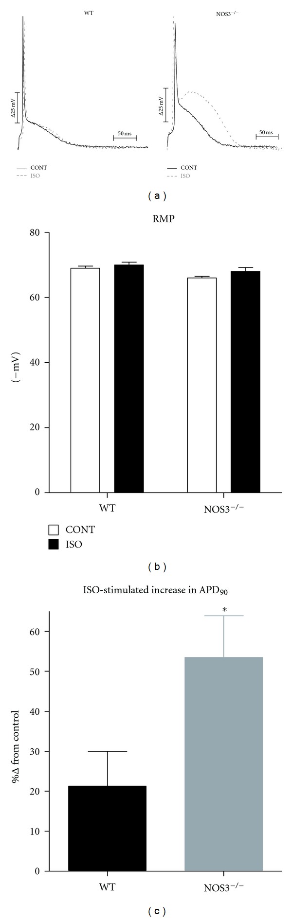 Prolonged Action Potential and After depolarizations Are Not due to Changes in Potassium Currents in NOS3 Knockout Ventricular Myocytes.