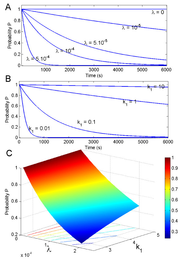 Using default constraints of the spindle assembly checkpoint to estimate the associated chemical rates.