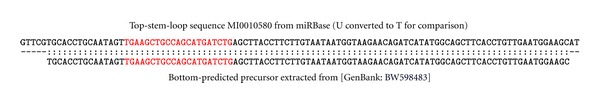 Plant MicroRNA Prediction by Supervised Machine Learning Using C5.0 Decision Trees.