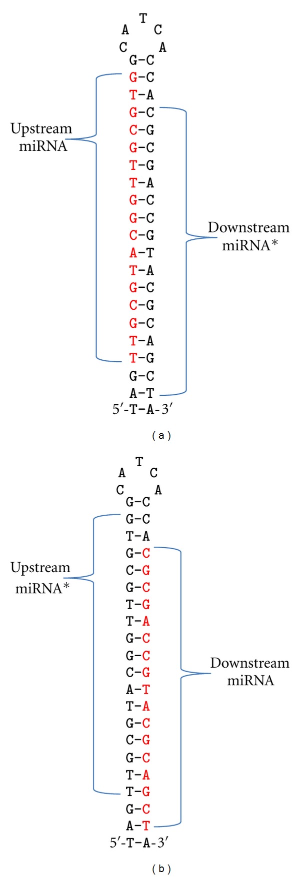 Plant MicroRNA Prediction by Supervised Machine Learning Using C5.0 Decision Trees.