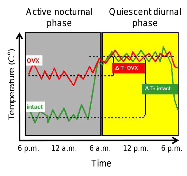 A dynamic model of circadian rhythms in rodent tail skin temperature for comparison of drug effects.