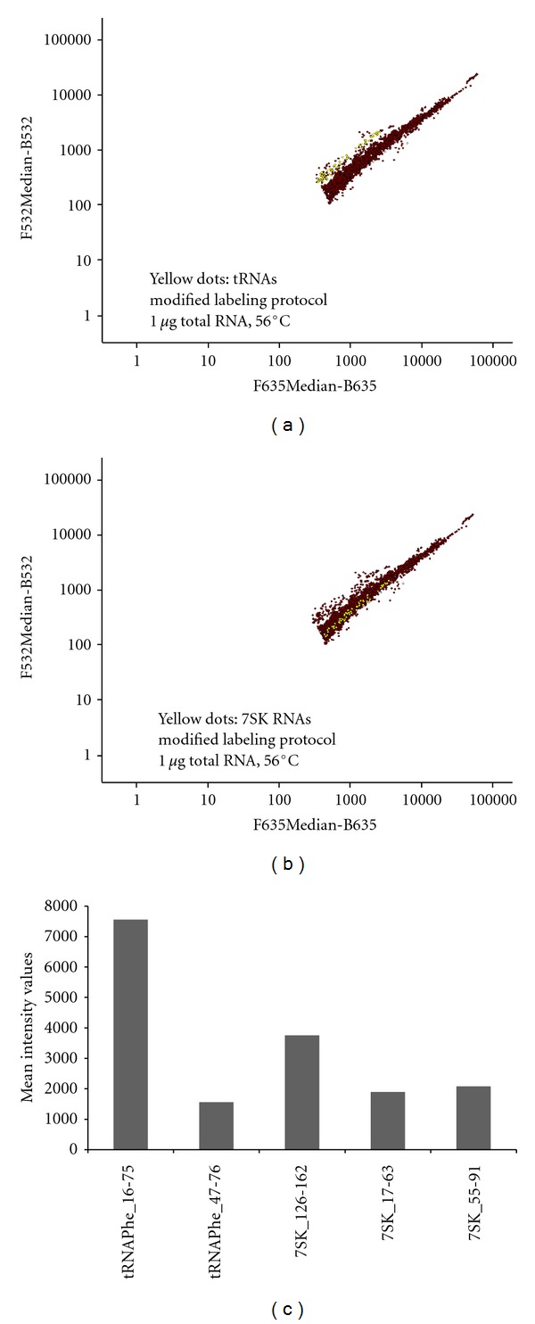 Expression Profiling of a Heterogeneous Population of ncRNAs Employing a Mixed DNA/LNA Microarray.