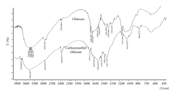 In Vitro and In Vivo Evaluation of pH-Sensitive Hydrogels of Carboxymethyl Chitosan for Intestinal Delivery of Theophylline.