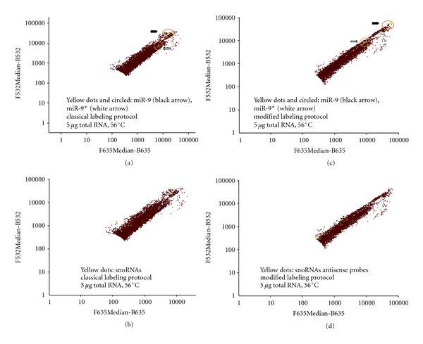 Expression Profiling of a Heterogeneous Population of ncRNAs Employing a Mixed DNA/LNA Microarray.