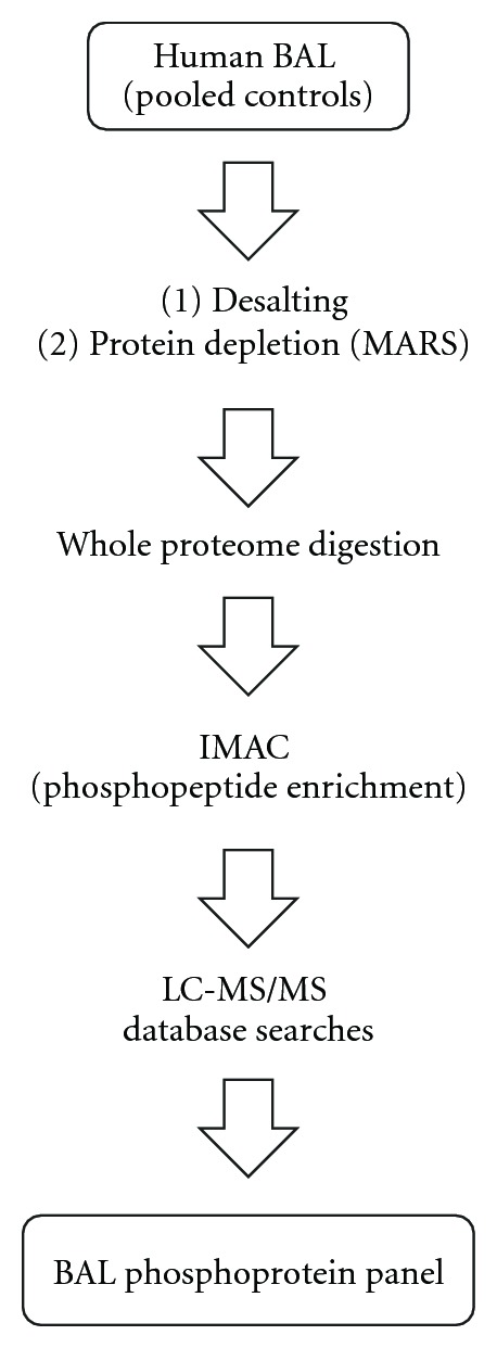 Characterization of the phosphoproteome in human bronchoalveolar lavage fluid.