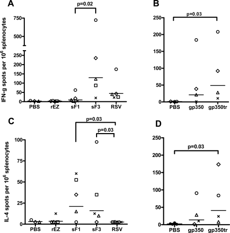 Evaluation of Measles Vaccine Virus as a Vector to Deliver Respiratory Syncytial Virus Fusion Protein or Epstein-Barr Virus Glycoprotein gp350.