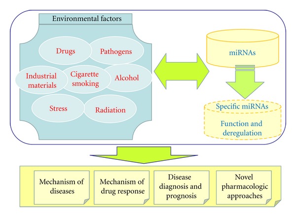 Specific Roles of MicroRNAs in Their Interactions with Environmental Factors.