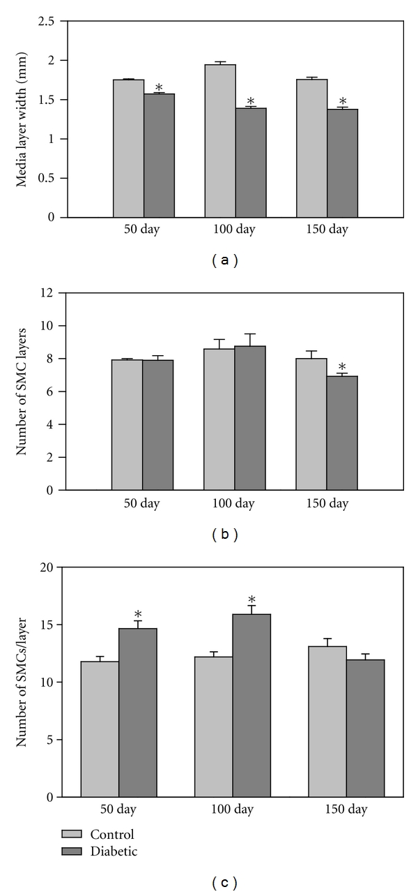 Time-dependent alterations in rat macrovessels with type 1 diabetes.