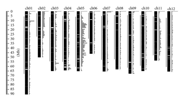 Mapping of Micro-Tom BAC-End Sequences to the Reference Tomato Genome Reveals Possible Genome Rearrangements and Polymorphisms.