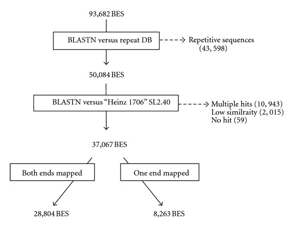 Mapping of Micro-Tom BAC-End Sequences to the Reference Tomato Genome Reveals Possible Genome Rearrangements and Polymorphisms.