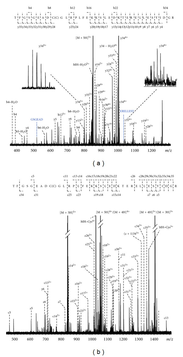 Identification of human serum peptides in fourier transform ion cyclotron resonance precision profiles.