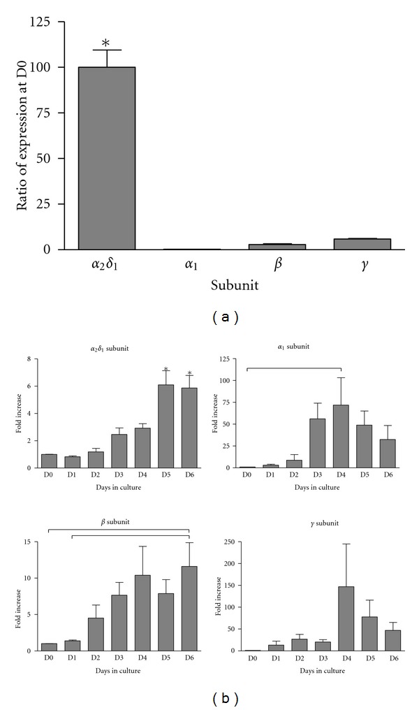 Commitment of Satellite Cells Expressing the Calcium Channel α2δ1 Subunit to the Muscle Lineage.