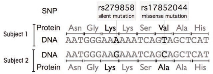 Alcohol Dependence and Genes Encoding α2 and γ1 GABAA Receptor Subunits: Insights from Humans and Mice.