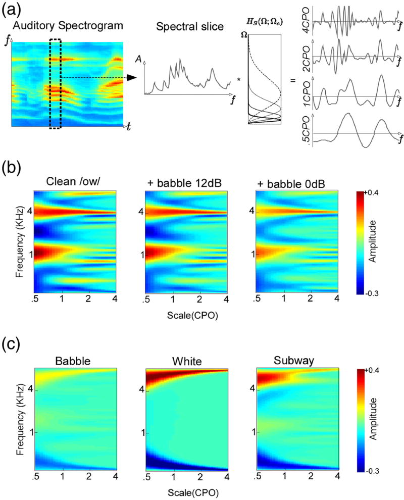 Biomimetic multi-resolution analysis for robust speaker recognition.